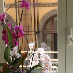 maison degas hotel napoli 3